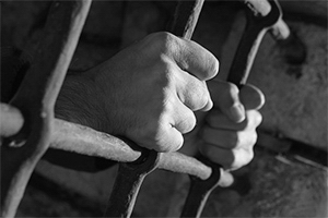 Bail Applications Bail Applications