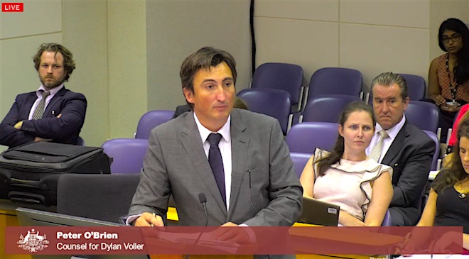 Peter O'Brien Representing Dylan Voller in the NT Royal Commission