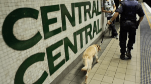 Drug Sniffer Dog Police Railway Station