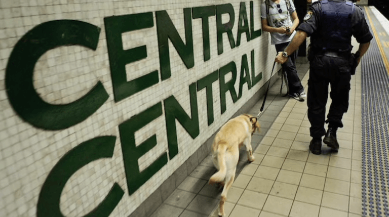 Drug Sniffer Dog Police Railway Station