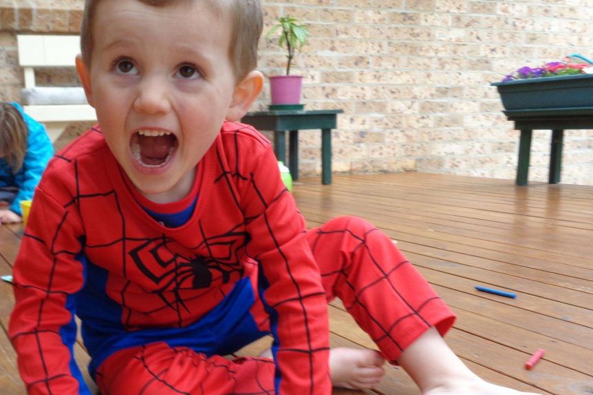 Three-year-old William Tyrrell (pictured) went missing in 2014