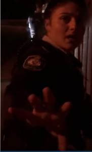 Police Stop Video