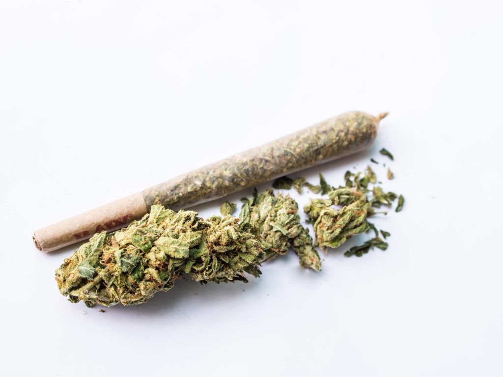 Marijuana's active ingredient is THC