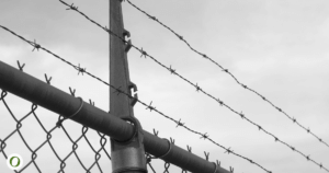 Prison barbed wire