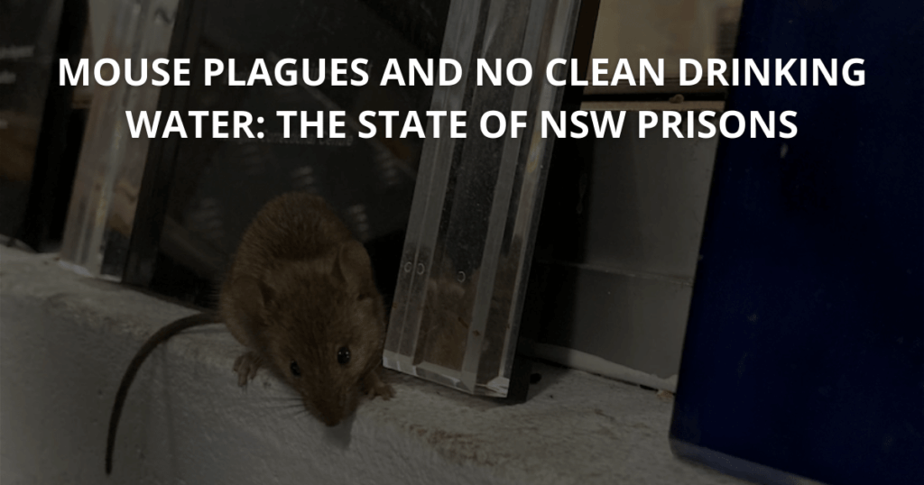 Mouse plagues and no clean drinking water The state of NSW prisons