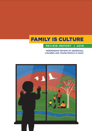 Family is Culture report by First Nations legal expert Professor Megan Davies seeks to stop a continuation of stolen generation