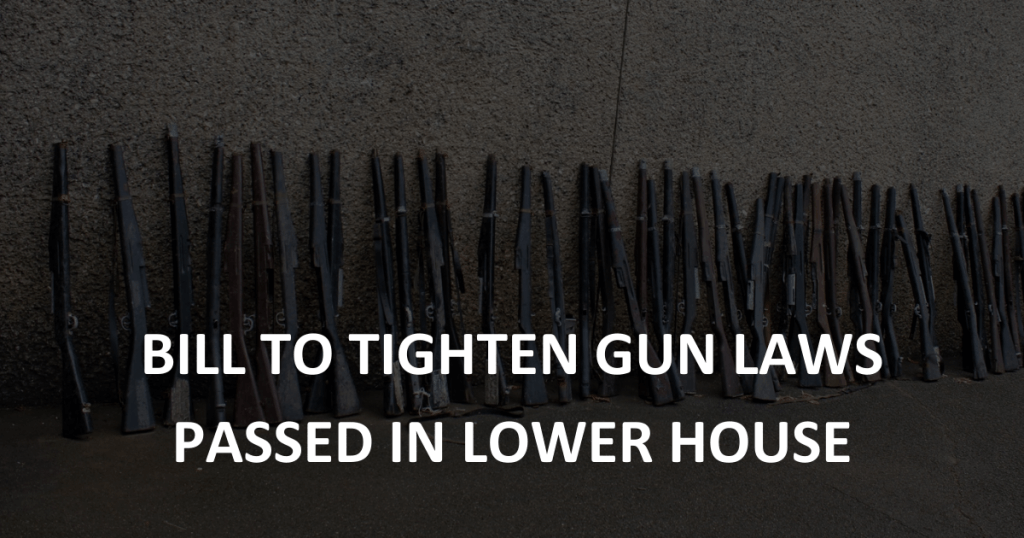 Bill to tighten gun laws passed in lower house