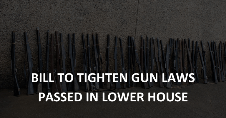 Bill to tighten gun laws passed in lower house
