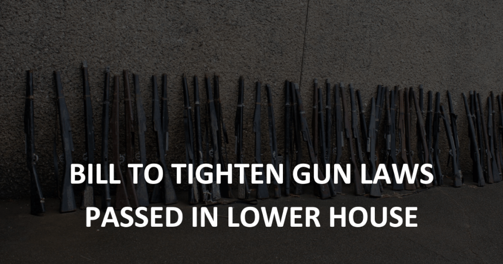 Bill to tighten gun laws passed in lower house