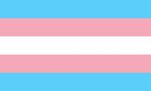 Transgender Pride flag