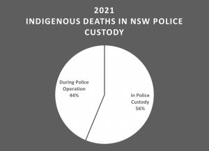 Indigenous deaths in NSW Police custody