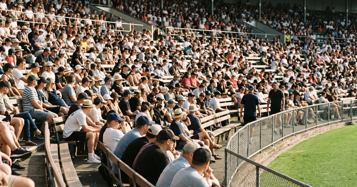 Crowd in the stands watching a match on a sunny afternoon
